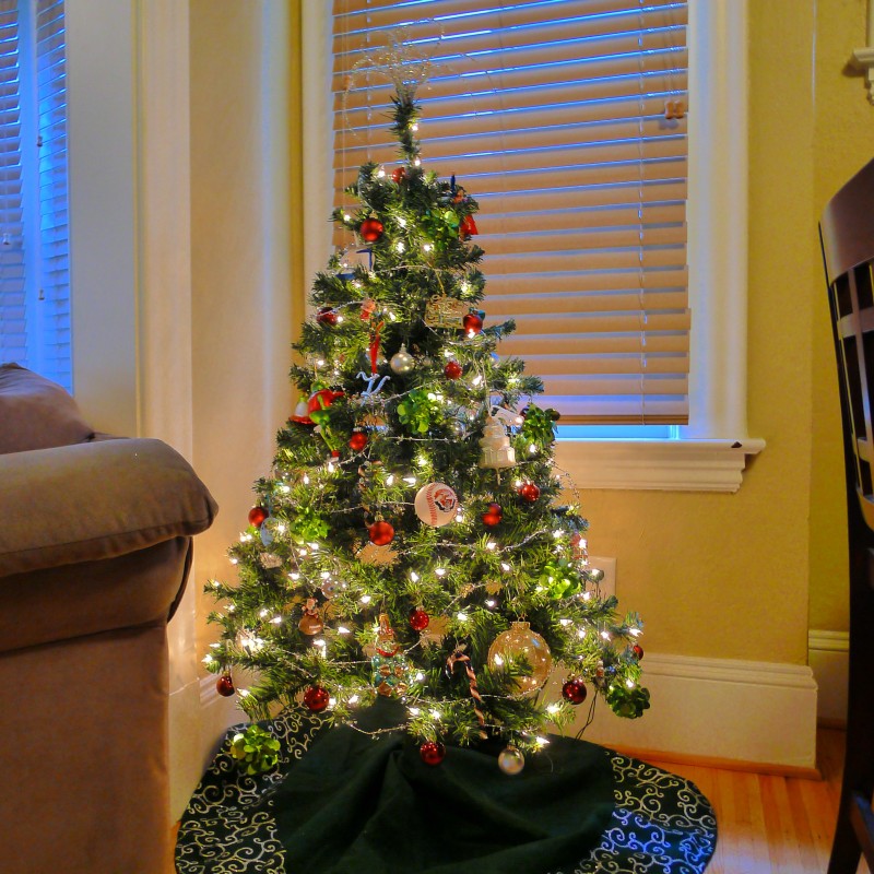 Our little Christmas tree! (Poor Cooper had his bed space stolen.)