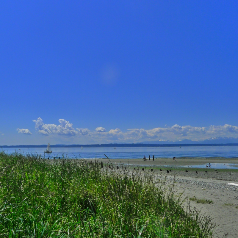 Beautiful day at the tip of Golden Gardens park