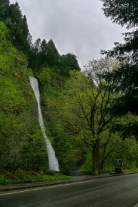 The Horsetail Falls view from the road